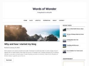 Seo Optimizeio WordPress Theme