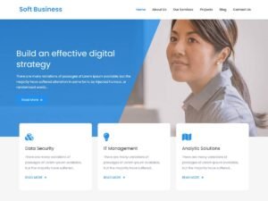 Soft Business WordPress Theme