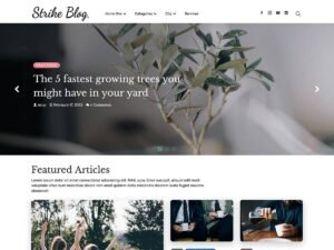 Strike Blog WordPress Theme