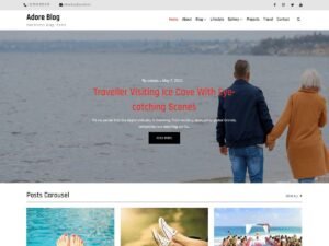 Adore Blog WordPress Theme