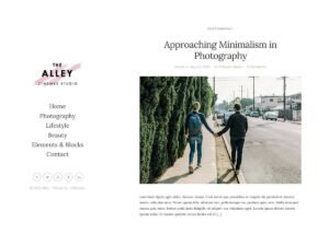 Alley WordPress Theme