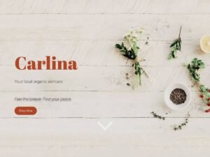 Carlina WordPress Theme