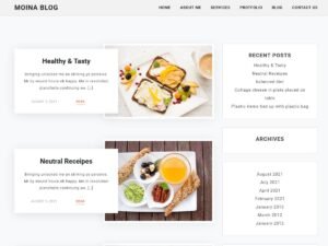 Moina Blog WordPress Theme