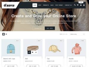 Shopper Shop WordPress Theme