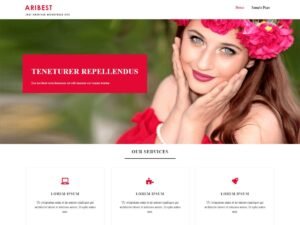 Aribest WordPress Theme