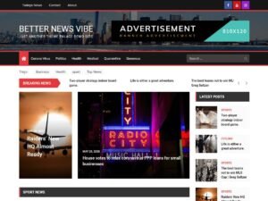 Better News Vibe WordPress Theme