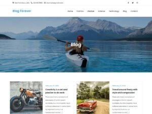 Blog Forever WordPress Theme