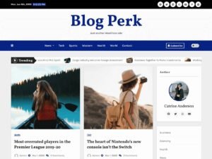 Blog Perk WordPress Theme
