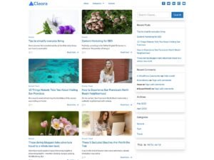 Cleora WordPress Theme