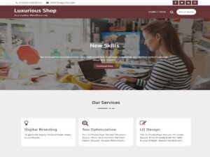 Luxurious Shop WordPress Theme