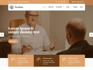 Psyclone Lite WordPress Theme