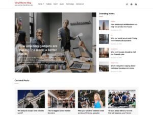 Vinyl News Mag WordPress Theme