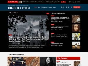 BigBulletin WordPress Theme