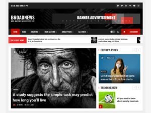 BroadNews WordPress Theme