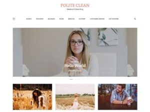 Polite Clean WordPress Theme