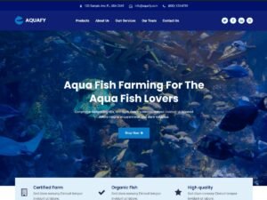 Aquafy Starter WordPress Theme