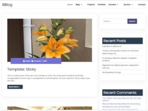 BBlog WordPress Theme