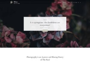 Blite WordPress Theme