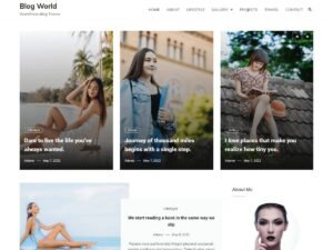 Blog World WordPress Theme