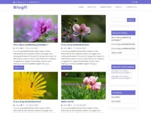 Blogfi WordPress Theme