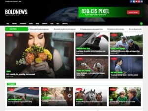 BoldNews WordPress Theme