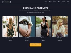 Dark Ecommercely WordPress Theme