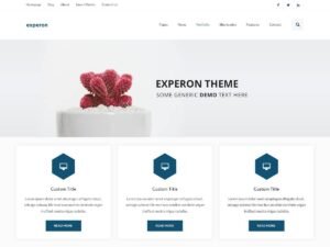 Experon grid WordPress Theme