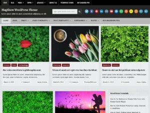 MagShow WordPress Theme