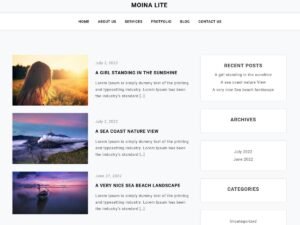 Moina Lite WordPress Theme