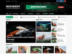 Newsment WordPress Theme