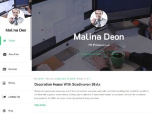 Personal CV Resume WordPress Theme
