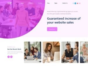 SEO Marketing Expert WordPress Theme
