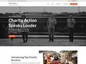 Top Charity WordPress Theme