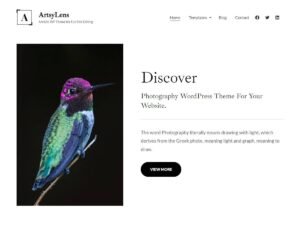 ArtsyLens WordPress Theme