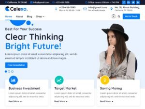 Celexo WordPress Theme