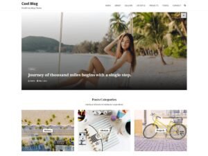 Cool Blog WordPress Theme