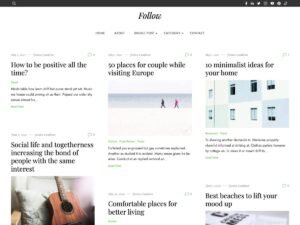 Follow WordPress Theme