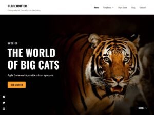 Globetrotter WordPress Theme