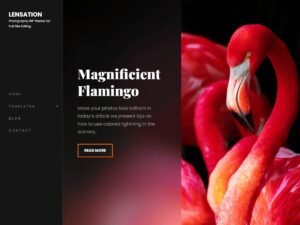 Lensation WordPress Theme