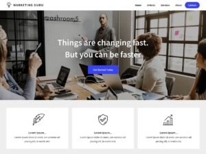 Marketing Guru WordPress Theme