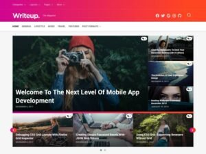 Writeup WordPress Theme