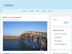 camolin WordPress Theme