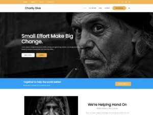 Charity Give WordPress Theme