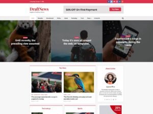 DraftNews WordPress Theme
