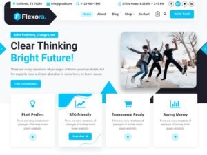 Flexora WordPress Theme