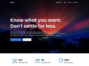 Hugo WP WordPress Theme