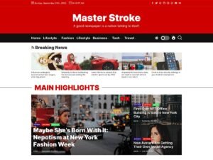 MasterStroke WordPress Theme