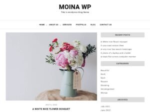 Moina Wp WordPress Theme