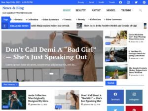 News Blog WordPress Theme