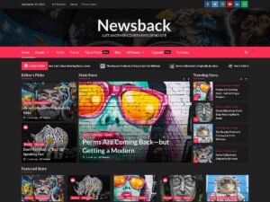 Newsback WordPress Theme